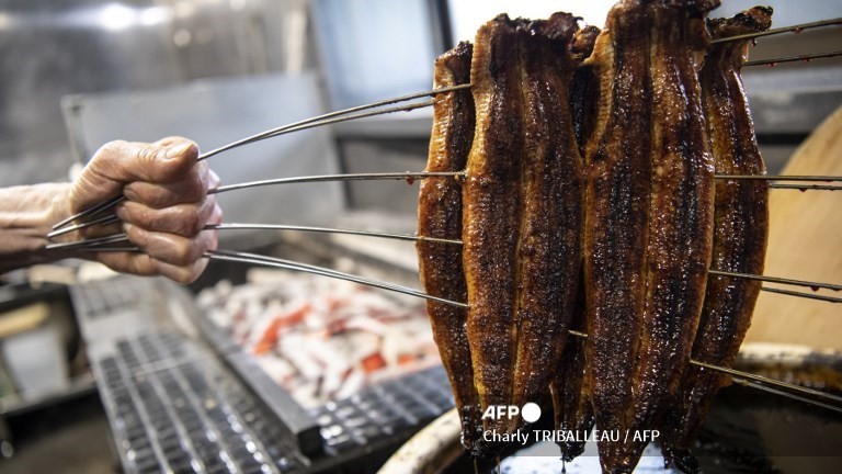 Grilled eel poisons 1, sickens 140 
