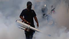 (FILES) Fogging is one of the strategies to fight dengue.