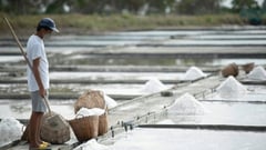 DA forms technical working group for salt farming research