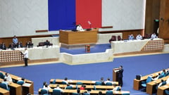 Congress wants birth records mill probed