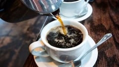 Cavite Coop prepares to enter Barako coffee market
