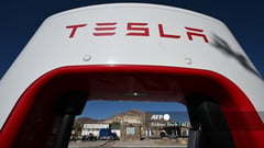 Tesla's Resilience: Defying Expectations in a Challenging EV Market