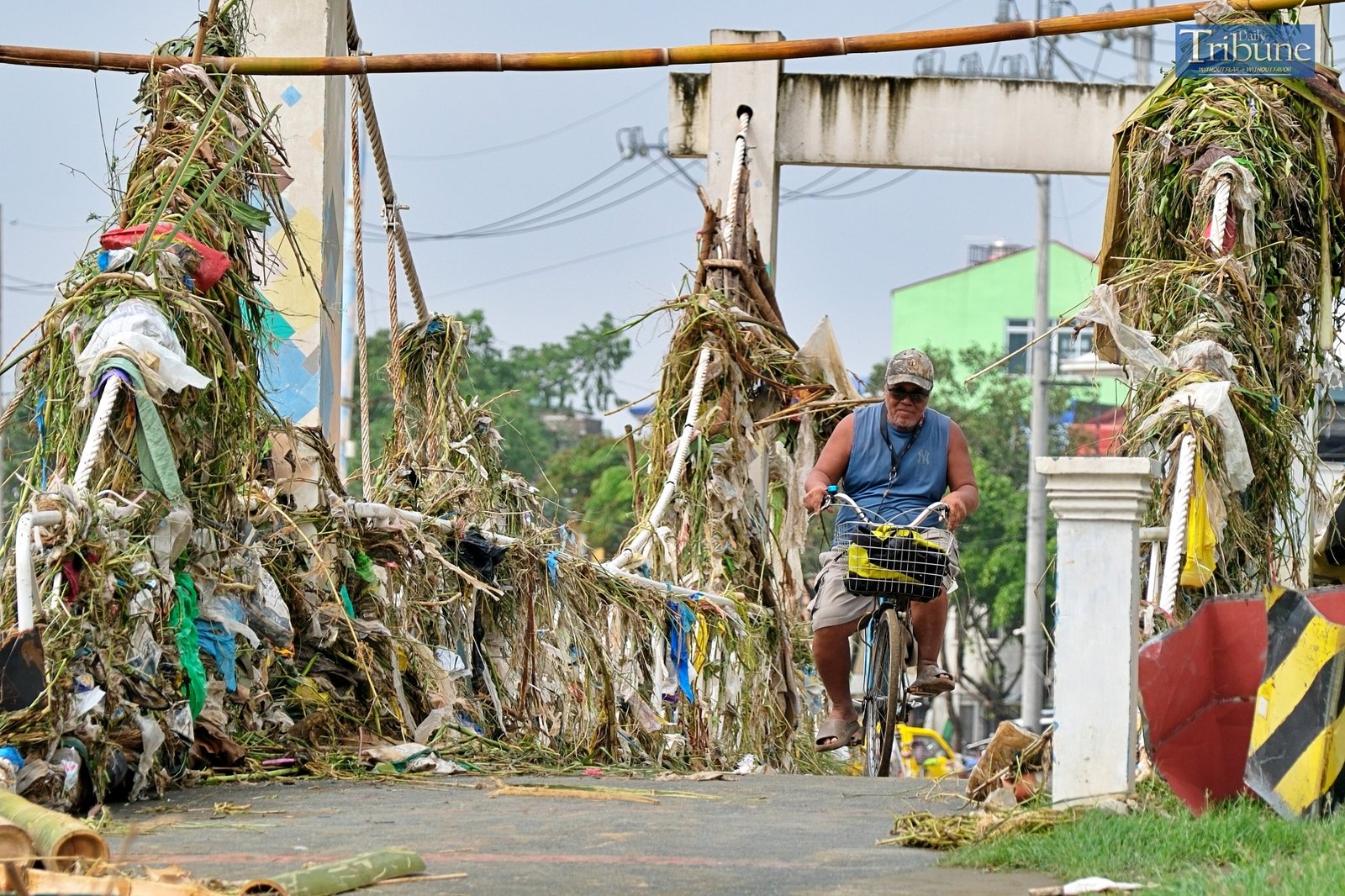 TRIBUNE-carinaaftermath