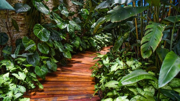 Carpenter finds hope amid ‘urban jungle’