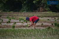 Ilocos Norte irrigators receive 16 water pumps