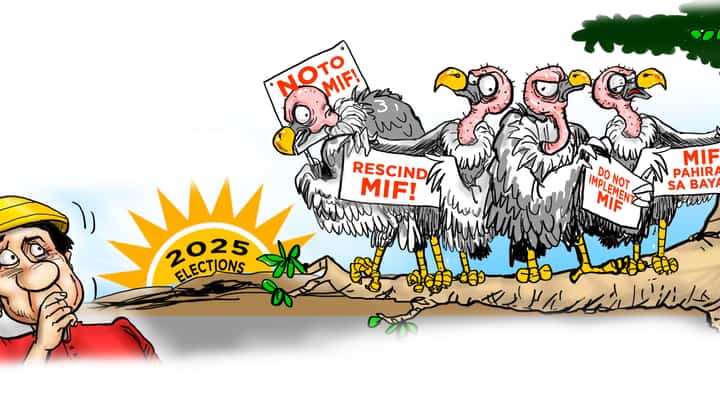 Early poll vultures