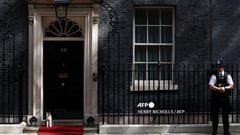 Larry the Cat: Britain's True Ruler of Downing Street?