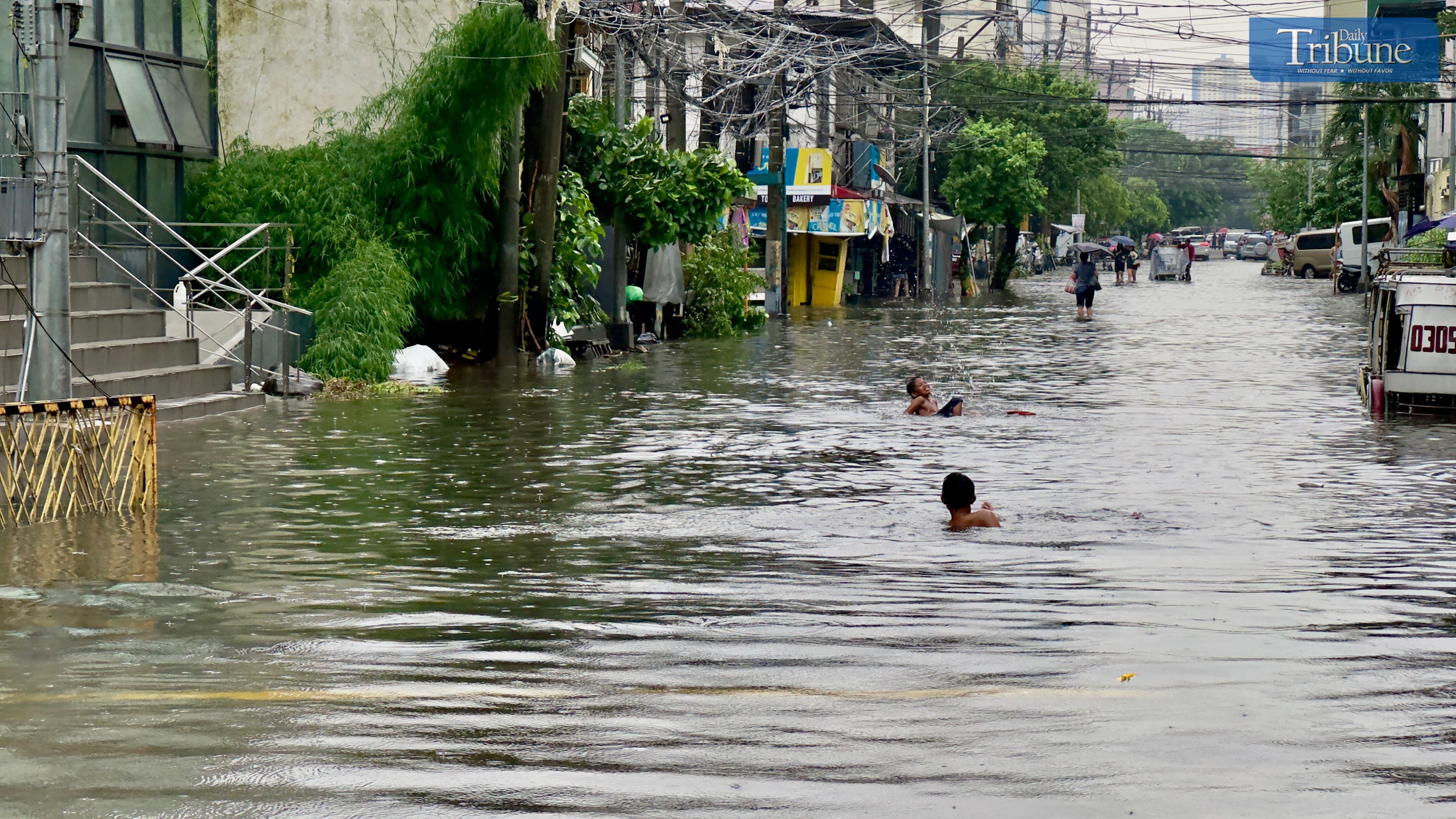 Herbosa: Gov't hospitals spend P100K-P200K per leptospirosis patient