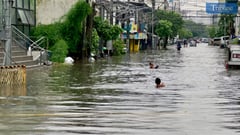 Herbosa: Gov't hospitals spend P100K-P200K per leptospirosis patient