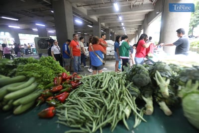 TRIBUNE-kadiwavegetables