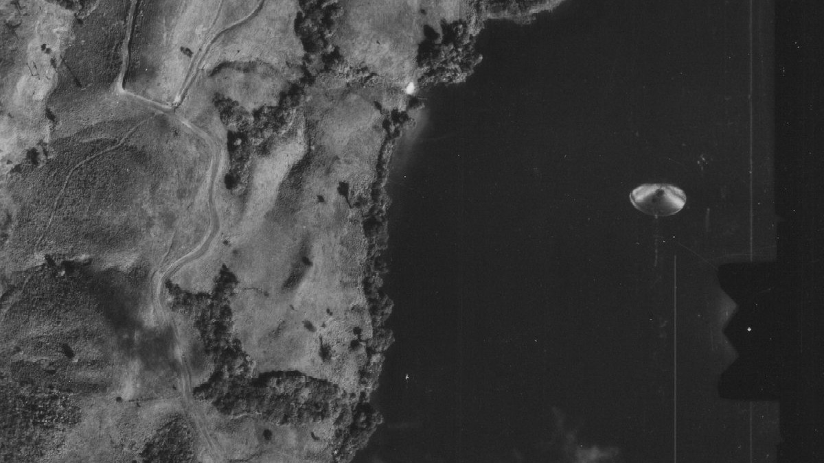 World UFO Day 2024: Gazing Skyward for the Unknown