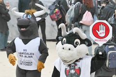 Colombia president enacts law banning bullfighting
