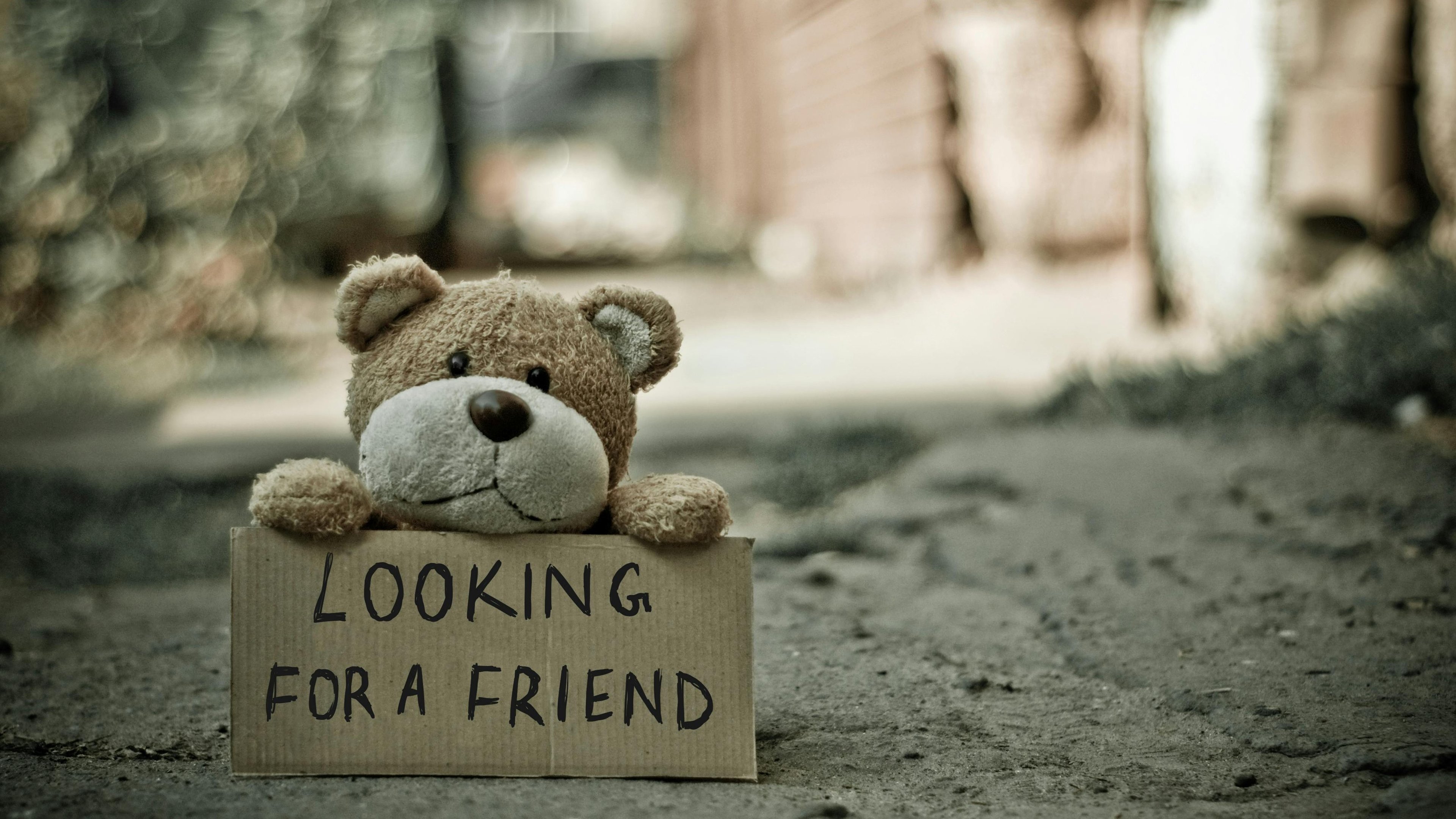 Spread Joy on Cheer Up the Lonely Day