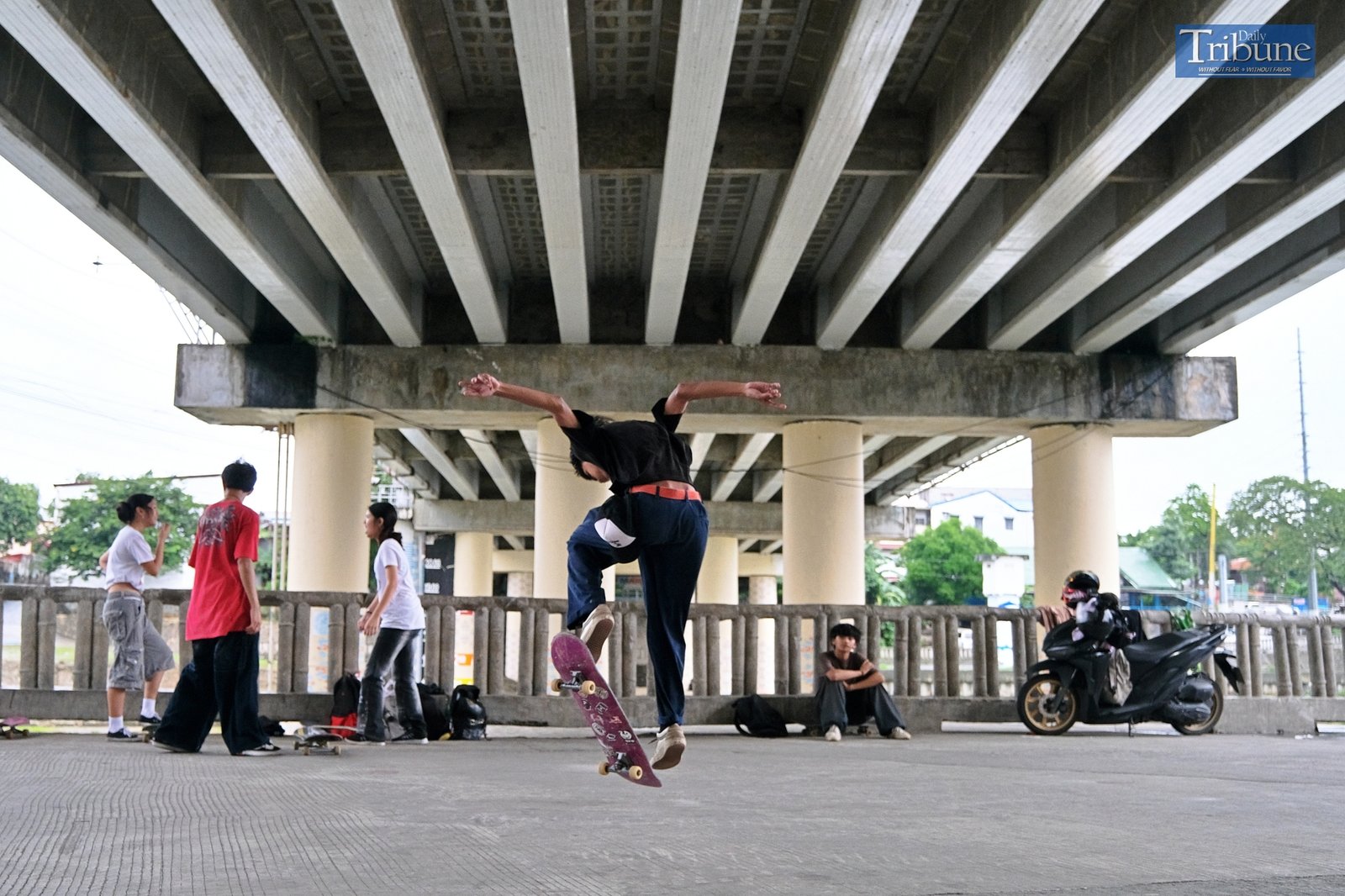 TRIBUNE-skateboarding