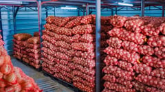 Onion import ban extended until August — DA chief