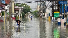 Leachon: Leptospirosis surge a wake-up call