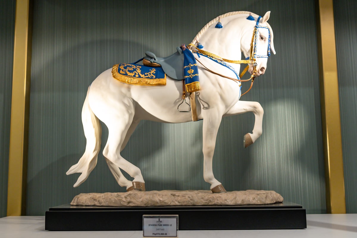 SPANISH pure Breed LE