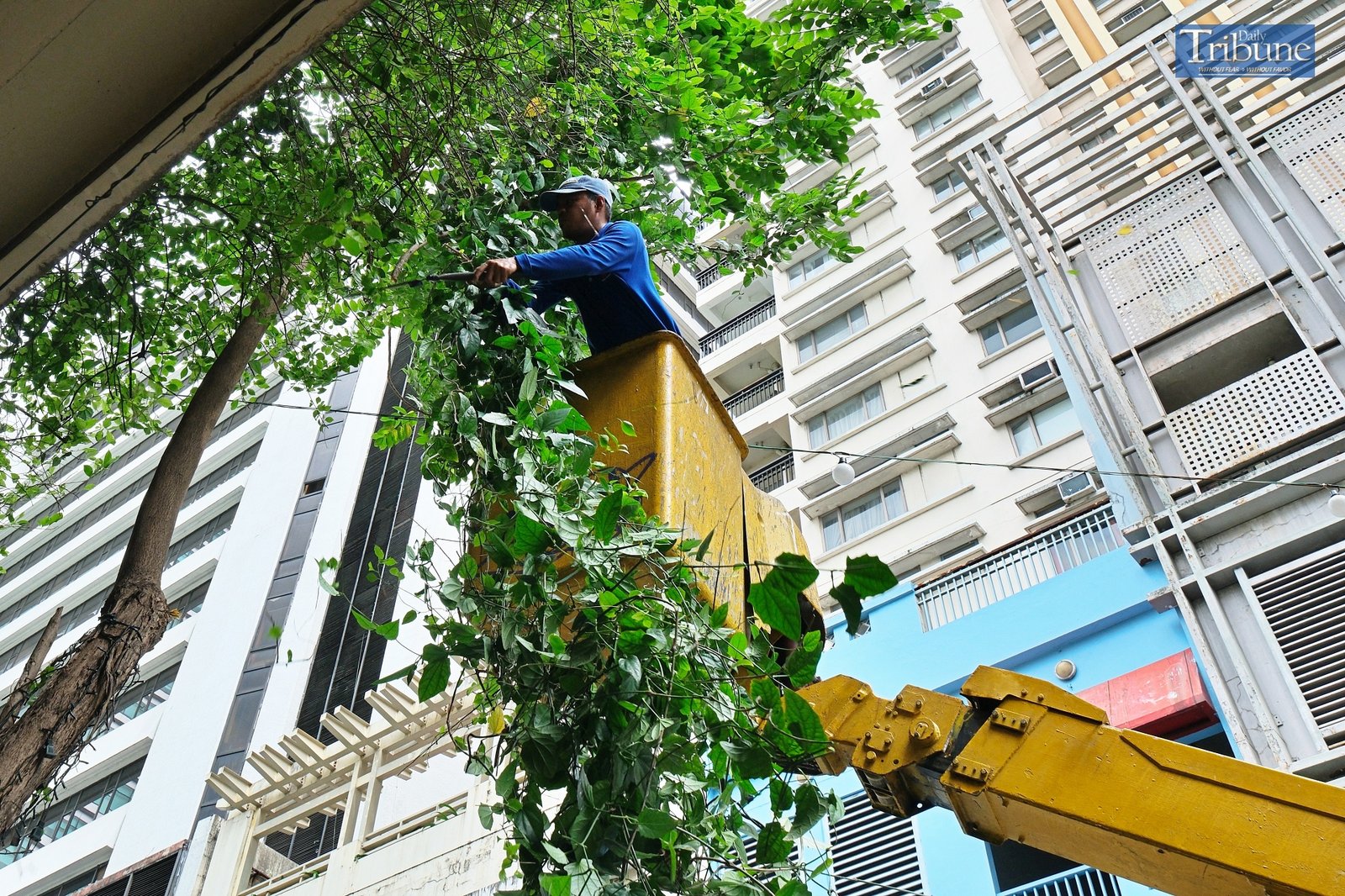 KING RODRIGUEZ