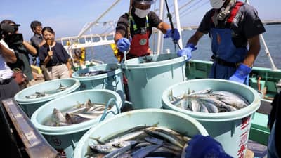 fisheries