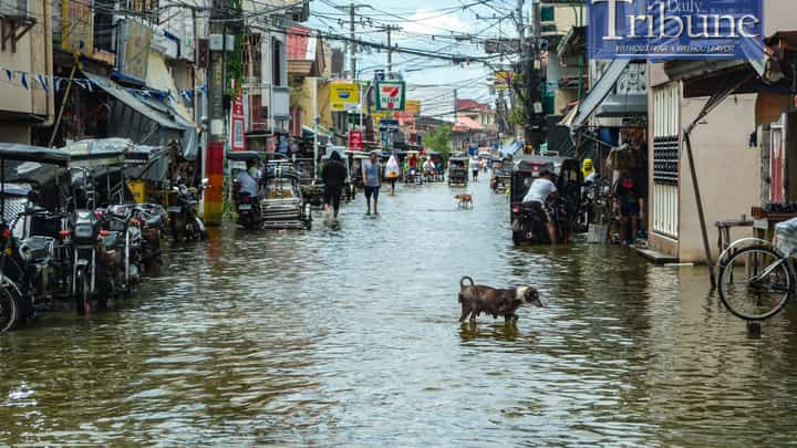 (File Photo) Residents of Masantol, Pampanga have adapted to frequent flooding caused by a combination of altered waterways, fishponds that impede water flow, and land subsidence exacerbated by volcanic lahars from Mount Pinatubo. Modern development in flood-prone areas without adequate flood mitigation has increased the risk, while climate change has disrupted the historical cycles of flood and drought. To address these issues, President Ferdinand Romualdez Marcos Jr. inaugurated the Integrated Disaster Risk Reduction and Climate Change Adaptation Measure in Pampanga Bay, funded by P7.57 billion from South Korea, which aims to improve flood resilience with extensive river network improvements and new infrastructure. Further infrastructure development and disaster risk reduction efforts are planned to enhance flood control in the region.