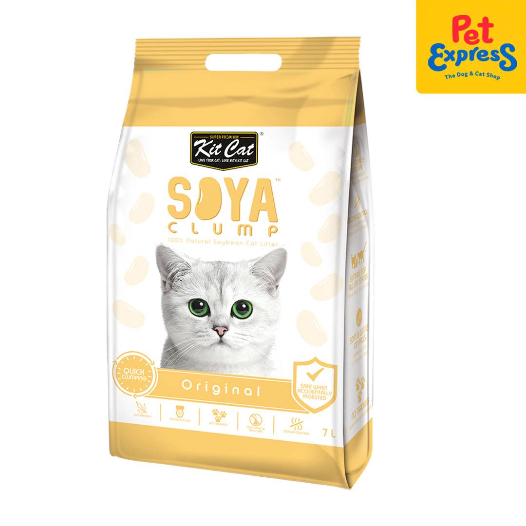 Clumps best: Kit Cat Soya Clump natural clump litter