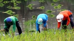 DOST calls farmers to review crop schedules ahead El Niño