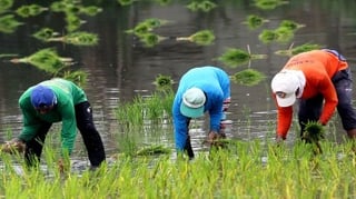 FARMERS