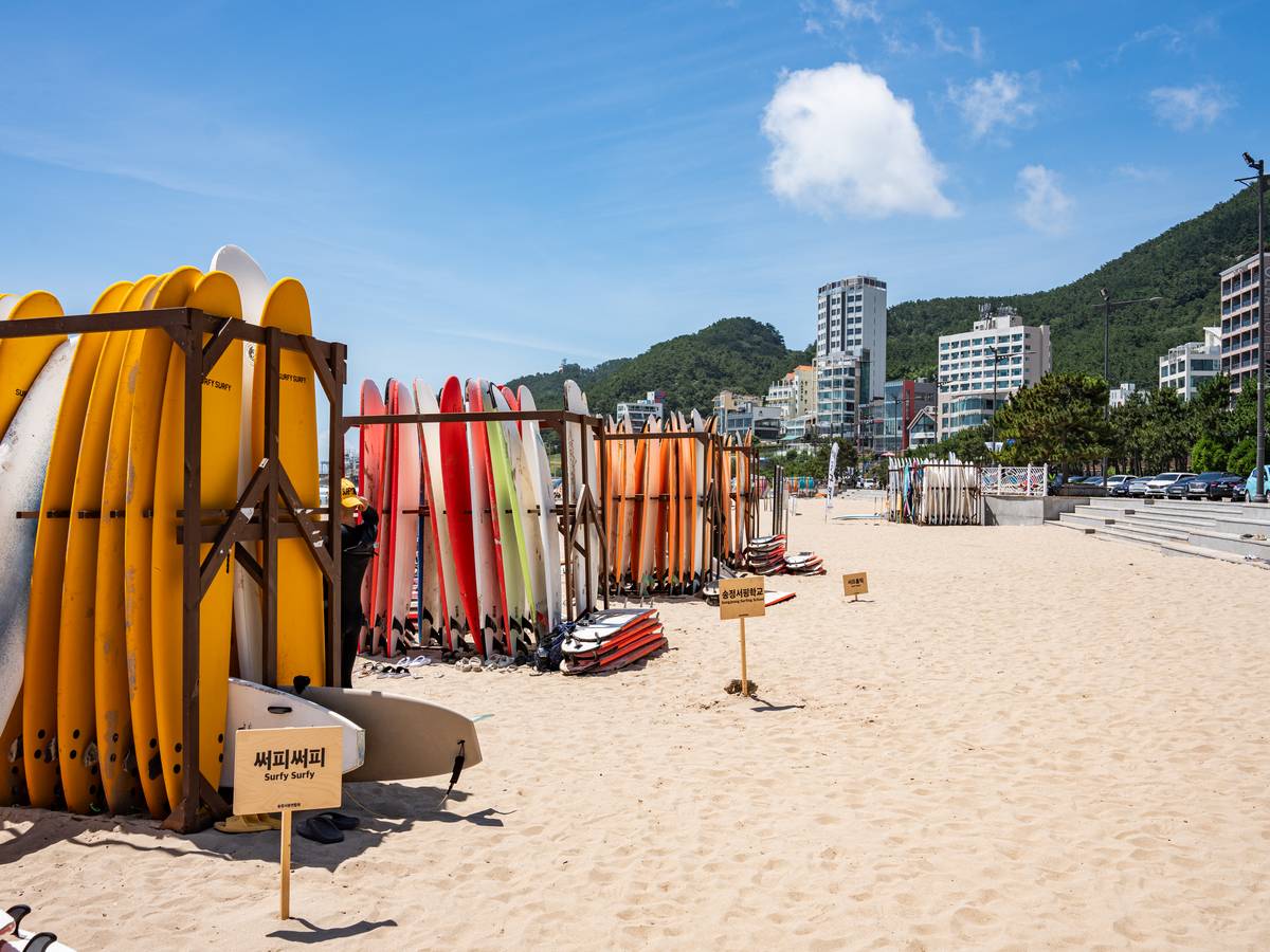 SURFBOARDS for the learners.