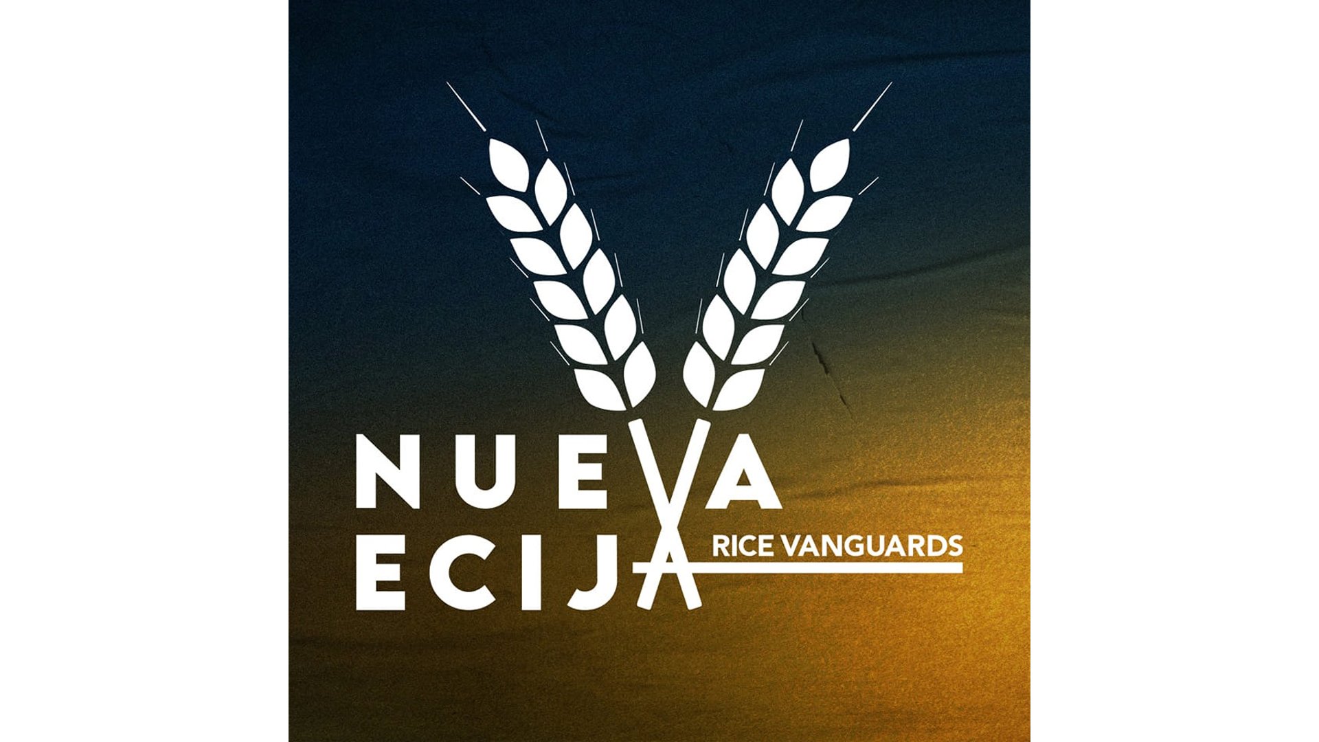 Rice Vanguards freeze Heatwaves