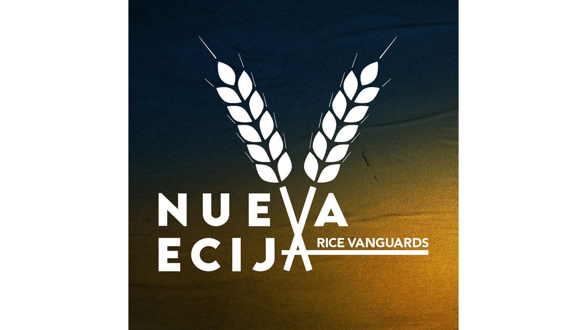 Rice Vanguards freeze Heatwaves