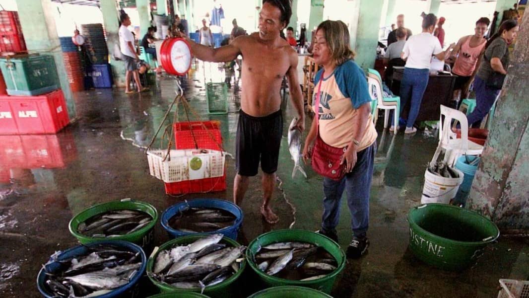 TRIBUNE-Fish