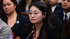 BIR files tax evasion charges vs Guo, associates