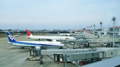 Japan cancels flights, trains as another
typhoon approaches