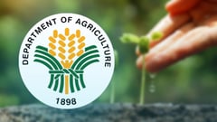 DA plans composting facility for biodegradable wastes