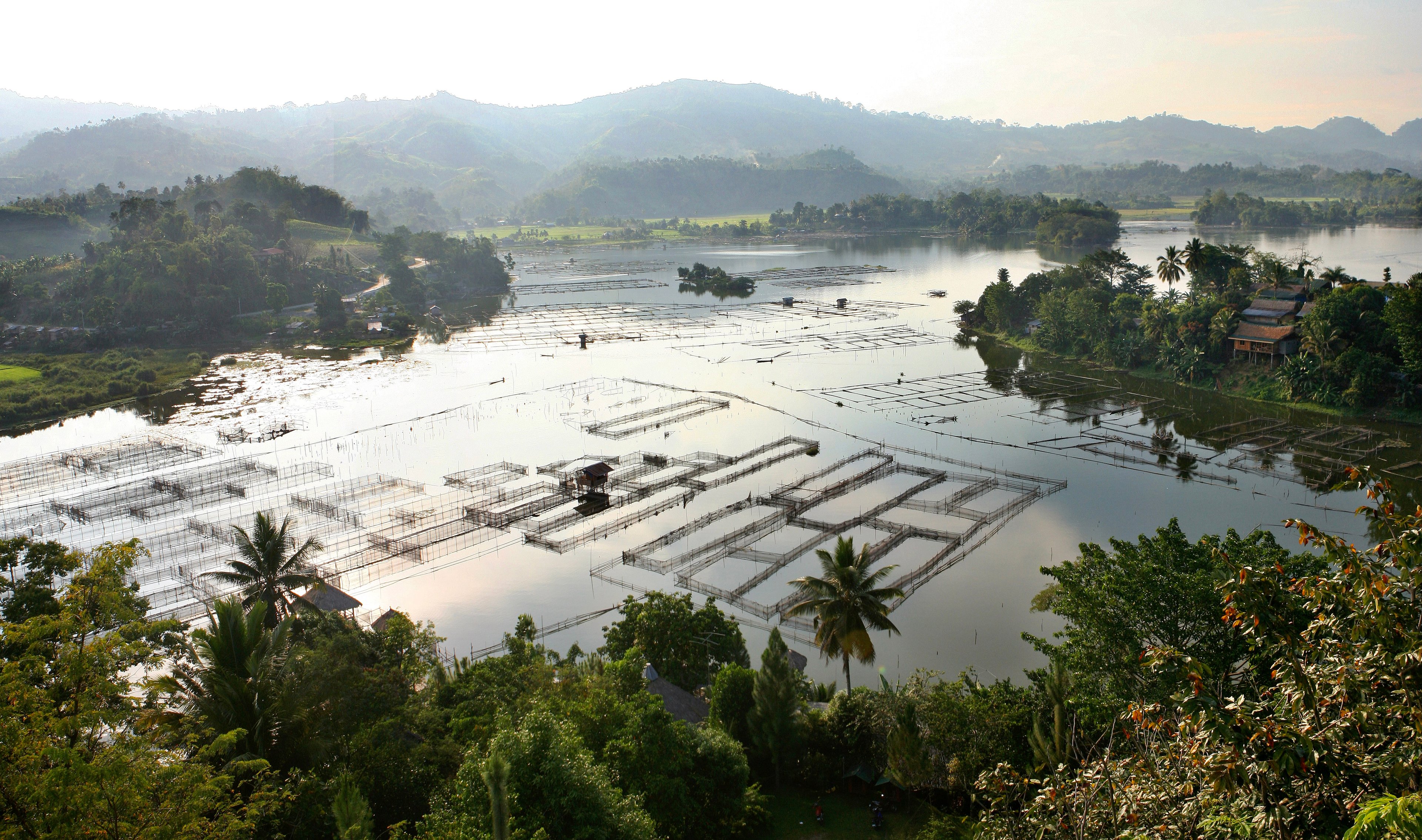 Fish pens break the glassy surface of the magnificent, tranquil pond.