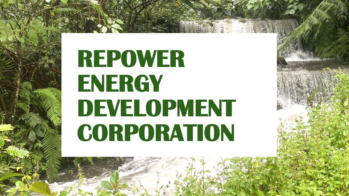 High energy use boosts REDC gains