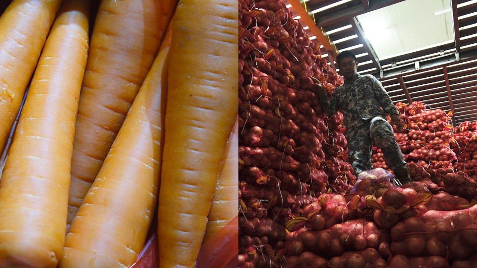 Smuggled vegetables seized
