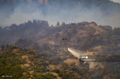 Forest fires in Turkey under control