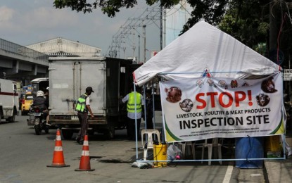 BAI: Seized hogs in QC ASF-infected