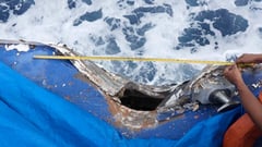 Chinese vessels ram, damage 2 PCG ships