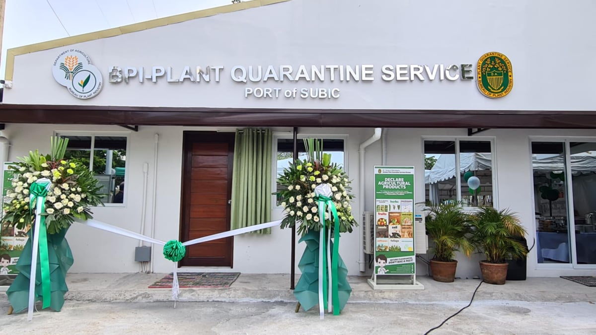 BPI sets up Subic Plant Quarantine Service