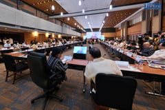 Collective action vs. disaster risk