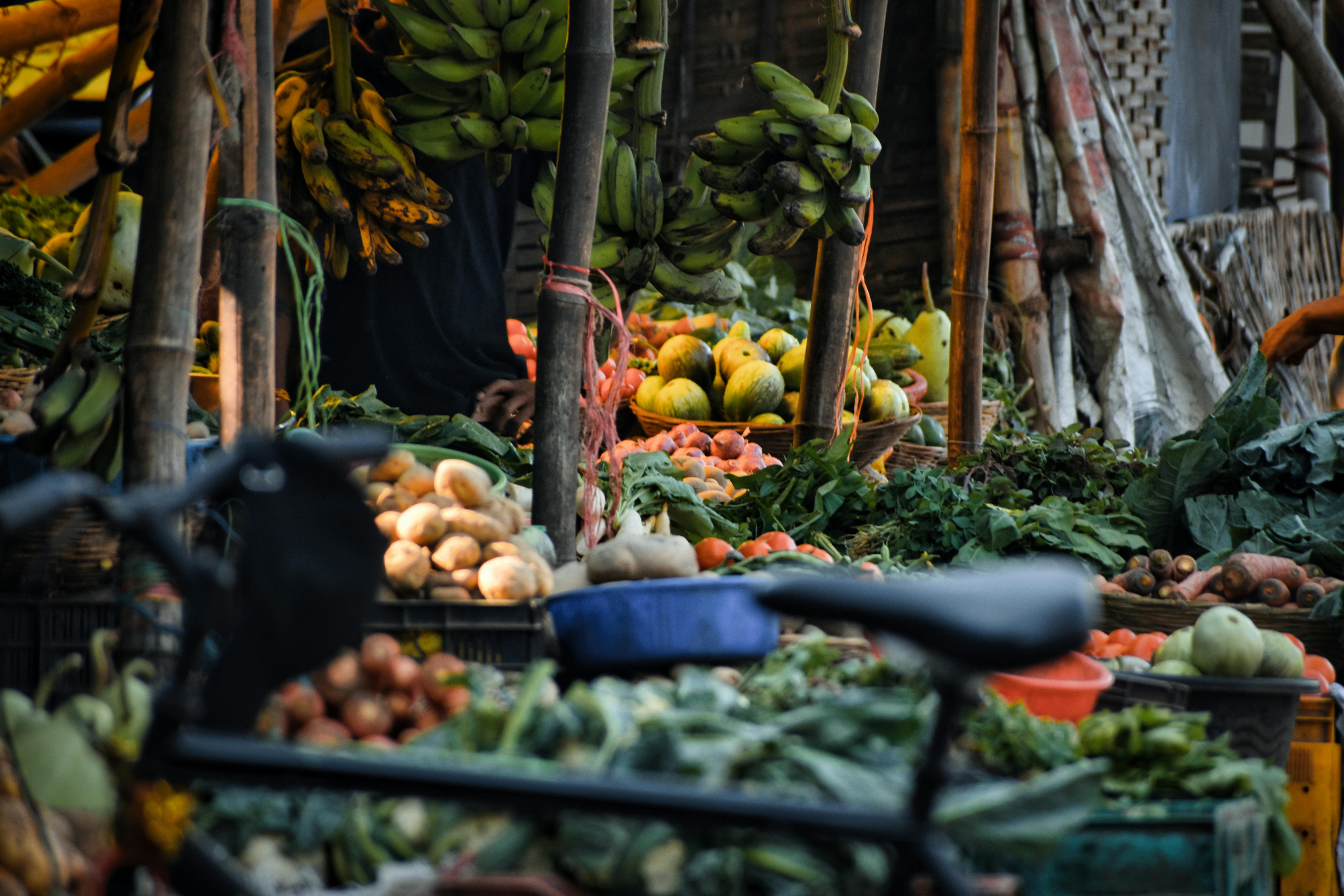 Food more likely to get contaminated during rainy season — expert