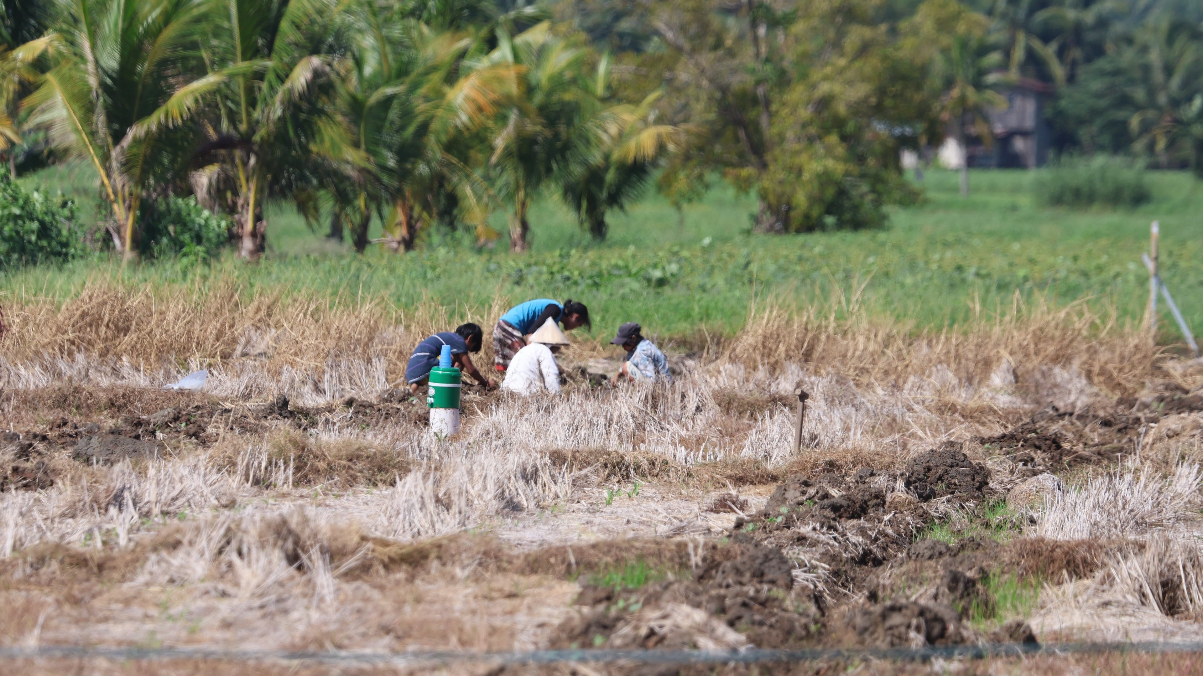 OP gives P50-M aid to El Niño victims
