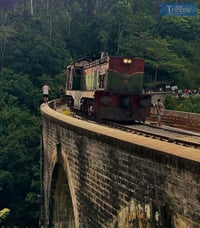TRIBUNE-sri-lanka-train