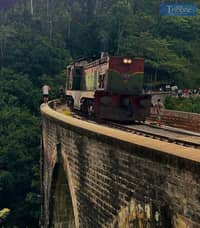 TRIBUNE-sri-lanka-train