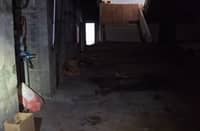 Secret rooms and laser lights: the aftermath of PNP's KOJC raid