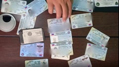 Mandaue seizes 20 fake drivers’ licenses