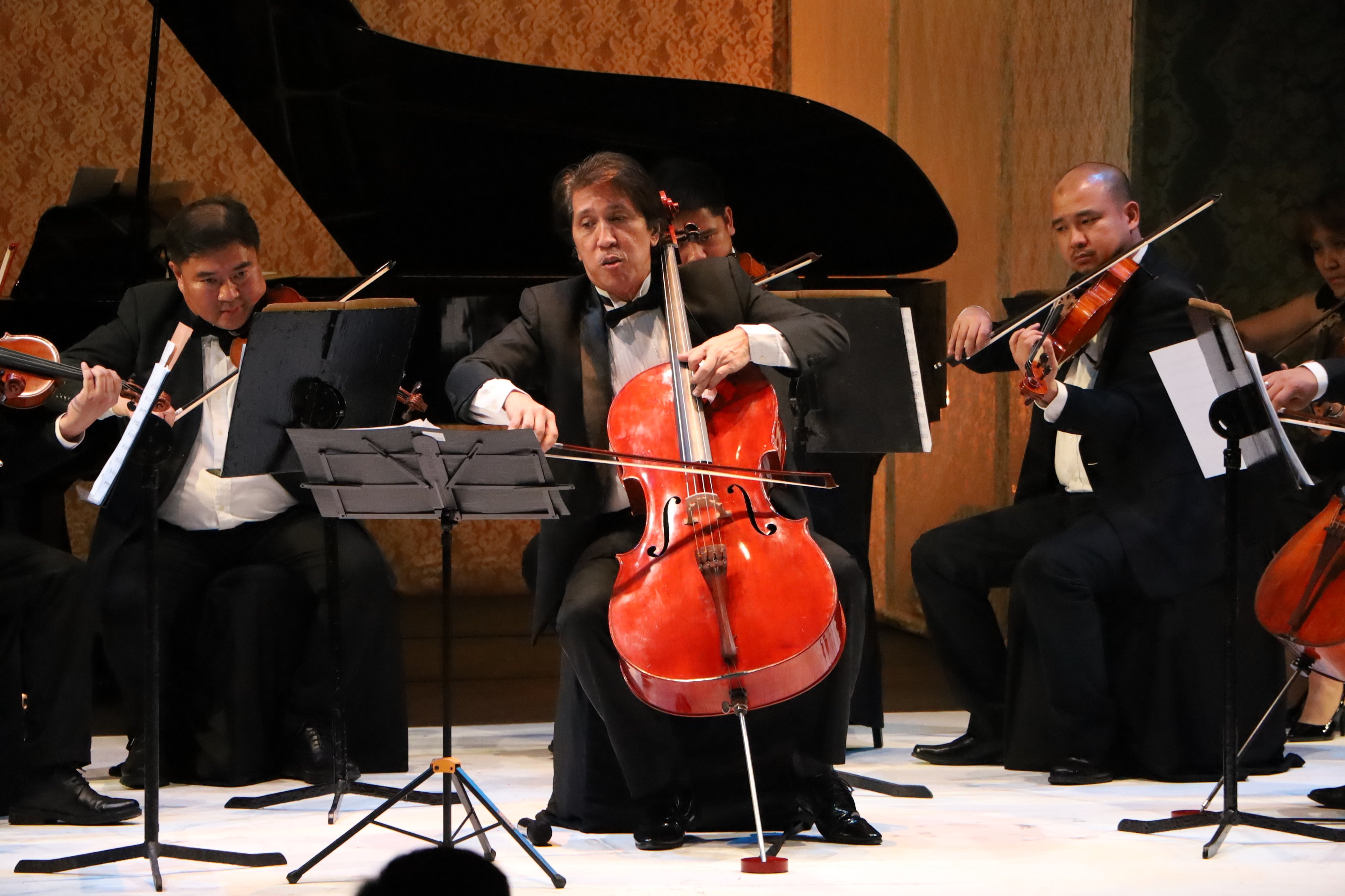 Cellist Dr. Renato Lucas.