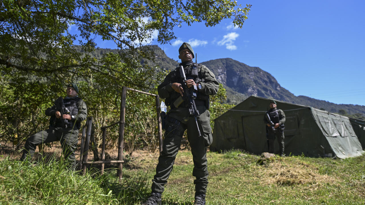 Colombia rebels to halt attacks during biodiversity summit